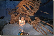 Dinosaur Museum 10