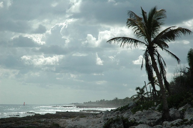 [rivieraMaya[4].jpg]