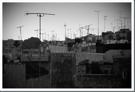 DSC_0098tanger DSC_0098tanger