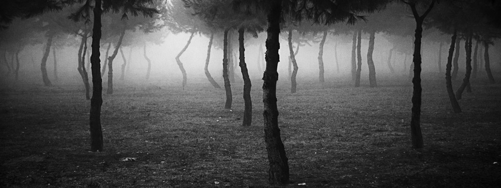 [DSC_0264niebla copia[7].jpg]