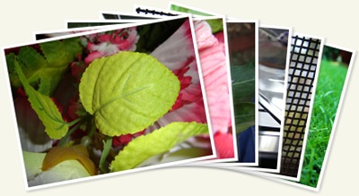 View Macro mode