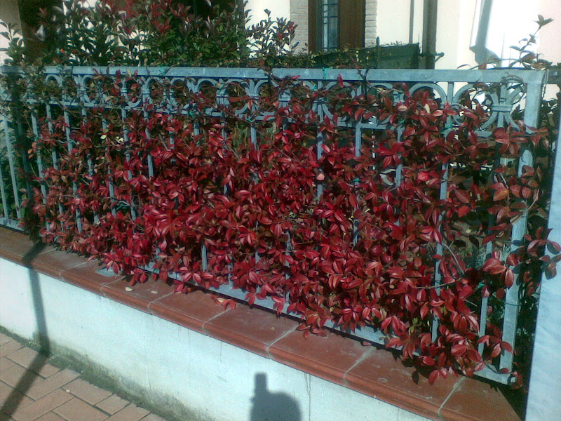 25102009.jpg