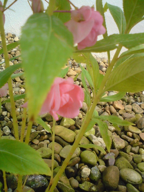 [DSC027983.jpg]
