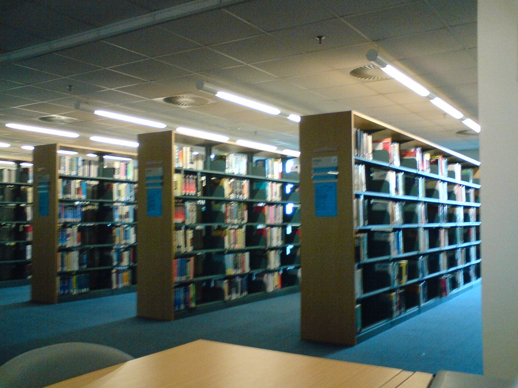 [DSC030003.jpg]