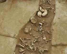 Mass cannibalism may have taken place during ritual sacrifices of slaves or war prisoners Mass cannibalism may have taken place during ritual sacrifices of slaves or war prisoners
