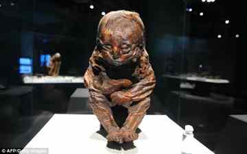 World's biggest mummy exhibition opens in California
