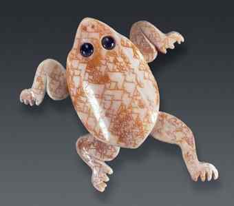 This frog carved from a shell was found in a tomb on the island of Topoxte, Guatemala. The Maya revered amphibians for their connections to water and land.