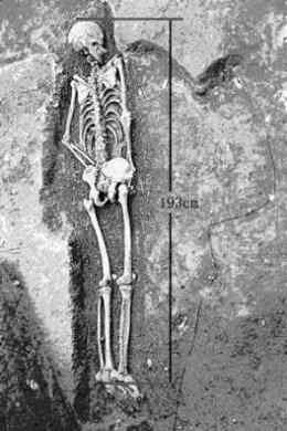 The "little giant," a 1.93-meter tall human skeleton, was recently discovered in China.