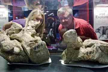 Dinosaur exhibit makes world premiere in Ohio at the Cincinnati Museum Center