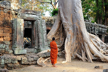 Ta Phrom is one of the most photographed temples.