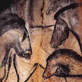 Chauvet Cave_Horses (detail)