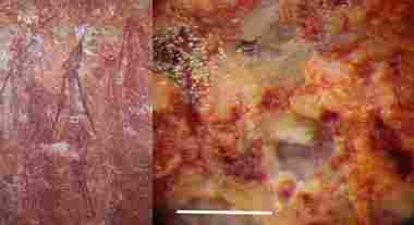 High magnification view of biofilm in the centre of a Bradshaw painting. High magnification view of biofilm in the centre of a Bradshaw painting.