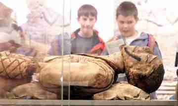 The Egypt gallery at Bristol City Museum & Art Gallery now has half-closed coffin lids on its display of mummies.