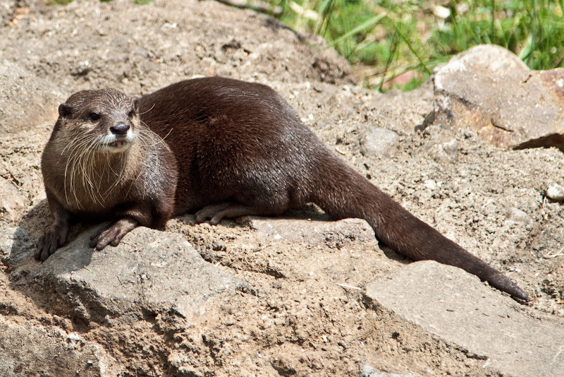 IMAGE: http://lh3.ggpht.com/_BfL0yCQSUnQ/S_si70pAiOI/AAAAAAAASPI/hxuITGnoqSg/s800/IMG_1612.jpg