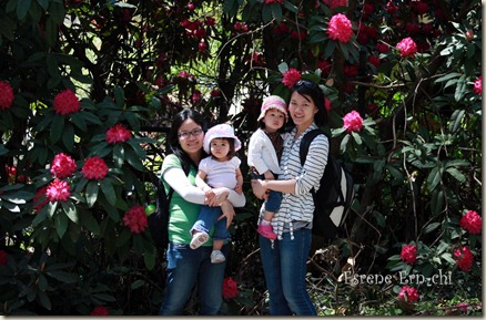 IMG_4666 IMG_4666