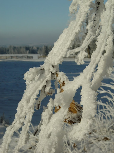 DSC00376.JPG