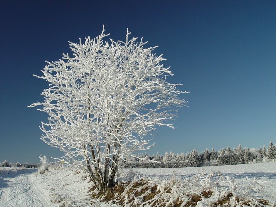 DSC00378.JPG