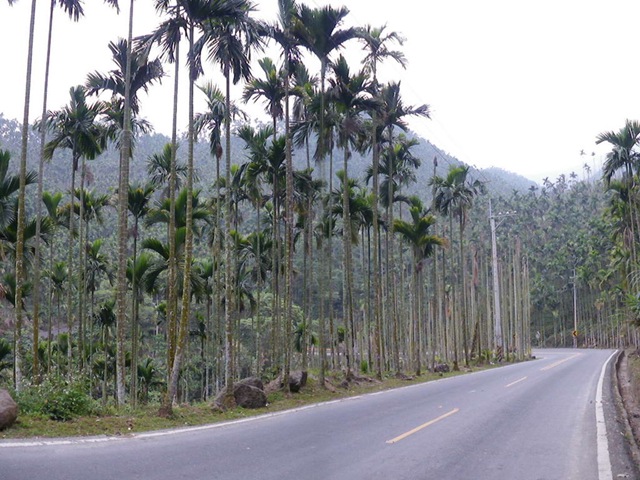 [IMGP0153_1.jpg]