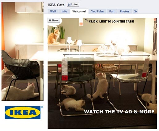 [ikea-cats-facebook-page[3].jpg]