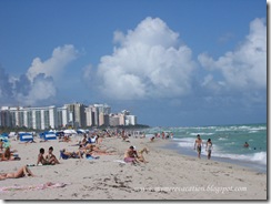 IMG_3239 IMG_3239