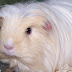 100_4265.JPG