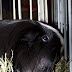 100_6215.JPG