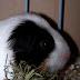 100_6218.JPG