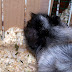 100_6271.JPG