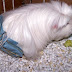 100_6294.JPG