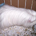 100_6295.JPG