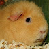 DSCF5001.JPG