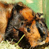 DSCF5004.JPG