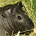 DSCF5010.JPG