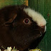 DSCF5021.JPG