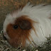 DSCF4961.JPG