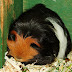DSCF4987.JPG