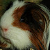 DSCF5091.JPG