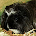 DSCF5118.JPG