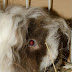 DSCF2518.JPG
