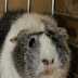DSCF2522.JPG