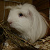 DSCF2464.JPG