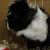 DSCF2505.JPG