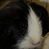 DSCF2524.JPG