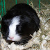 100_8944.JPG