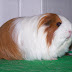 100_8989.JPG