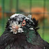 DSCF0351.JPG