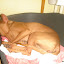 Blackie Mix (2007)
