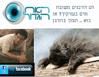 bigbro1.gif