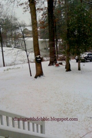 [snow6.jpg]