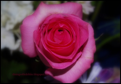 DSC_0137 DSC_0137